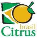 Brasil Citrus
